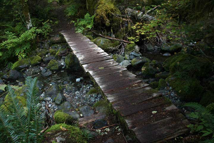 plank trail
